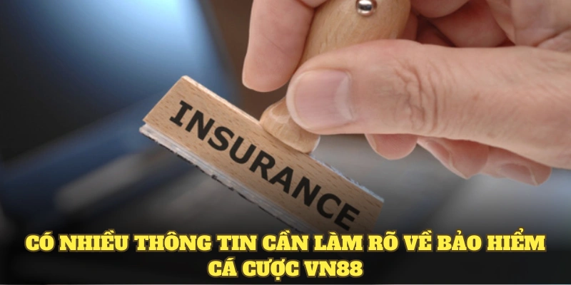 Thông tin cần làm rõ về bảo hiểm cá cược VN88
