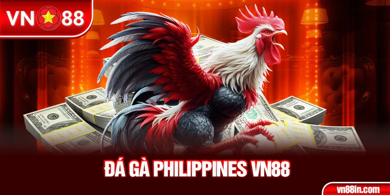 Đá gà Philippines VN88
